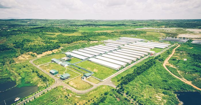 Hình ảnh hệ thống phân phối rộng khắp của GreenFeed