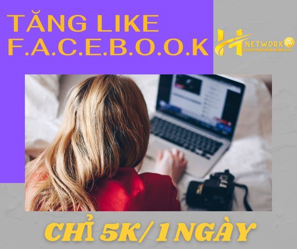 HNetwork ảnh 2