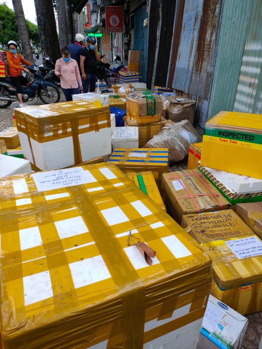 Không gian làm việc chuyên nghiệp tại Toàn Thắng Vũng Tàu