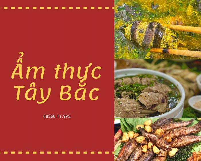 Nhà Hàng Cây Cọ - Ảnh 1