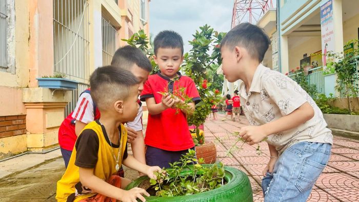 Trường Mầm Non Hoa Mai - Hình ảnh 2