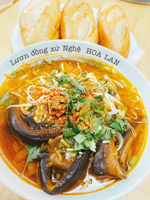 Lươn Đồng Xứ Nghệ Hoa Lan - Hình 2