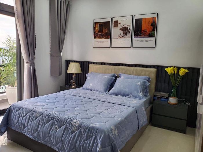 Hình ảnh bộ sưu tập chăn drap cao cấp Lavender
