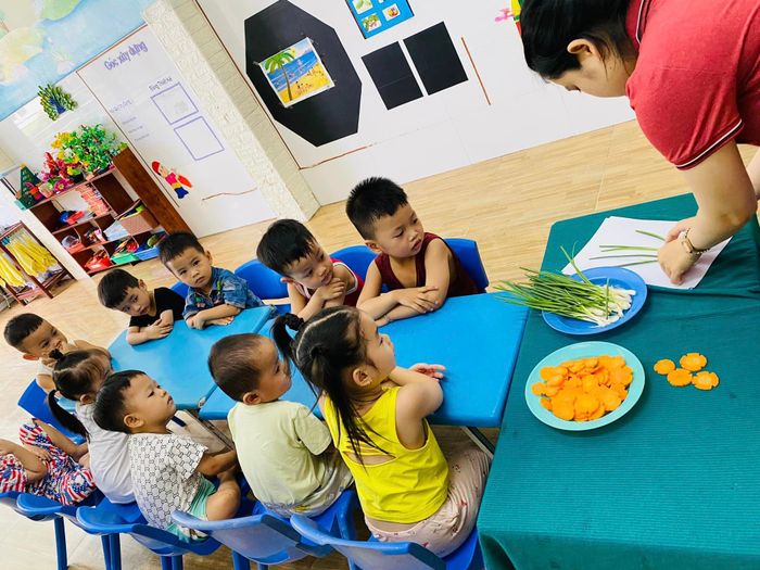 Không gian học tập đầy màu sắc tại Mầm Non Họa Mi
