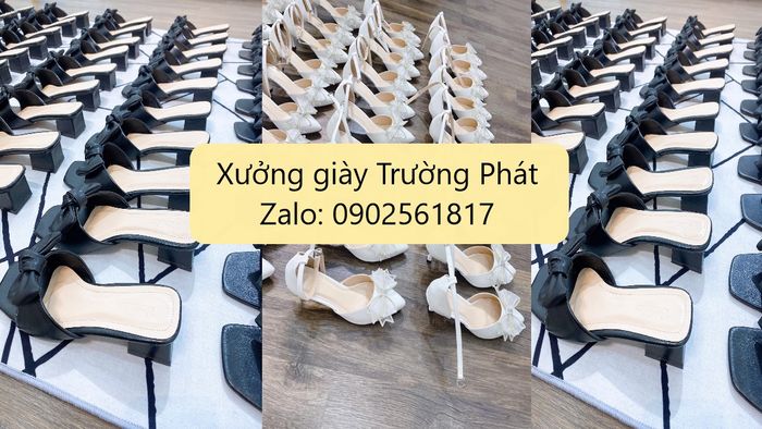 Bộ sưu tập đa dạng mẫu mã tại Xưởng Sỉ Trường Phát