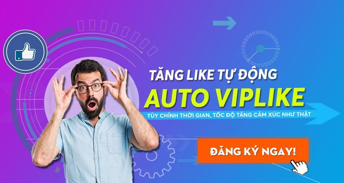 Nguyễn Văn Thuận Media ảnh 2