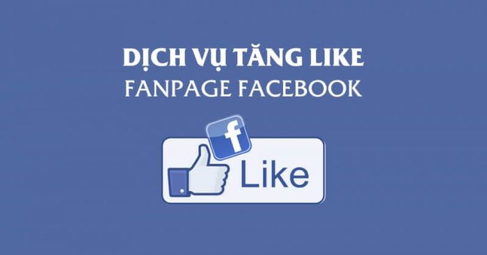 Dịch vụ Abclike ảnh 2