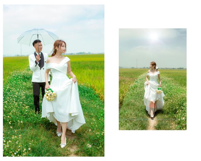 Bộ sưu tập ảnh cưới đa phong cách từ Minh Nam Studio