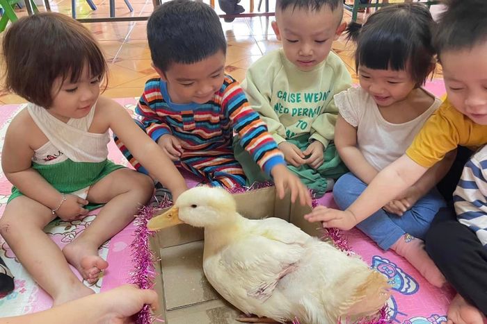 Hoạt động ngoại khóa sôi nổi tại Trường Mầm non Hoàng Lan