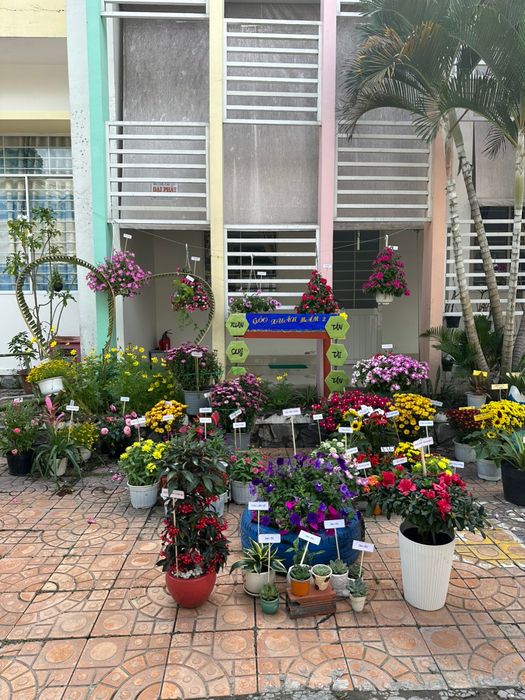 Hoạt động vui chơi ngoài trời tại Trường Mầm Non Hồng Phát
