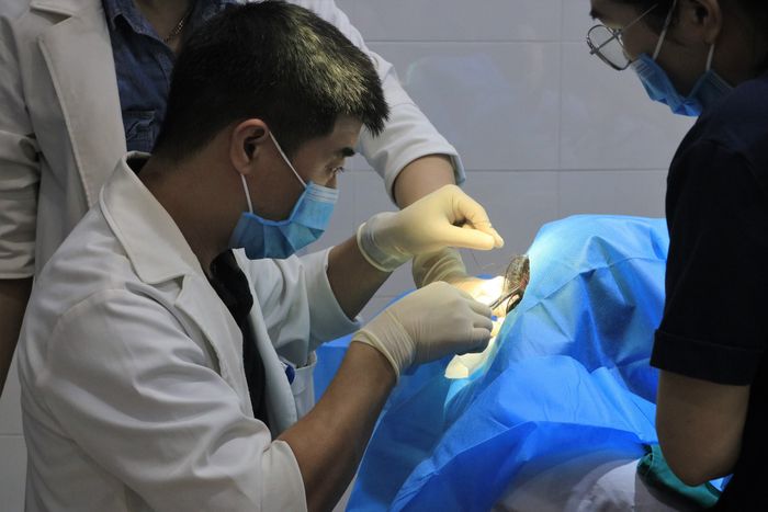 Hình ảnh công nghệ Regenera Activa tại DR Thái Hà
