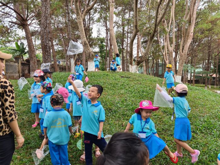 Hoạt động vui chơi ngoài trời tại Trường Mầm Non Ngôi Sao Nhỏ