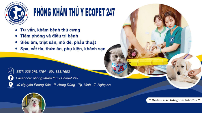 Phòng Khám Thú Y Ecopet247 - Hình ảnh 1