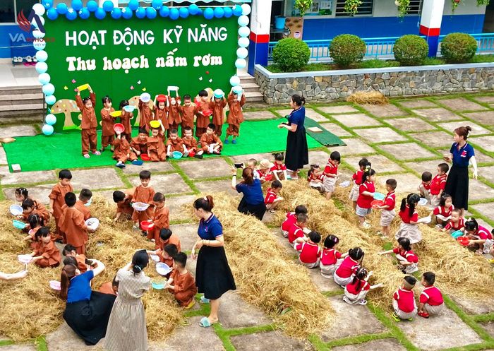 Hoạt động ngoại khóa tại Trường Mầm non Việt Mỹ Cần Thơ