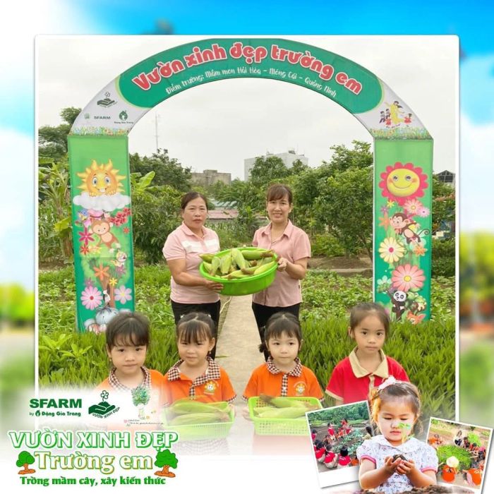 Khám phá không gian học tập đầy màu sắc tại Trường Mầm Non Hải Hòa qua loạt ảnh chân thực và sống động.