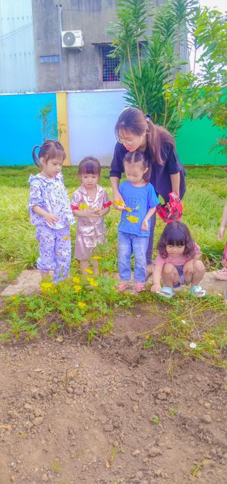 Khoảnh khắc đáng yêu trong giờ học tại Trường Mầm Non Xuân Thủy