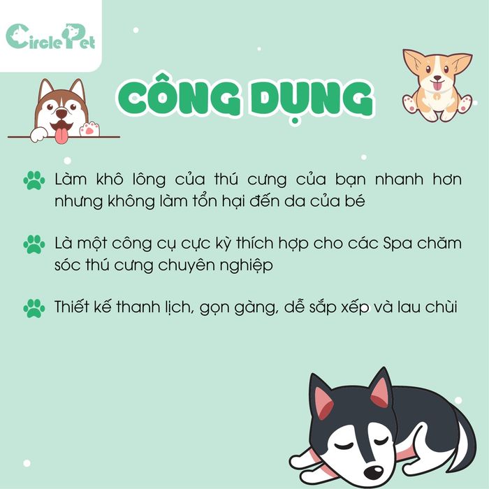 Máy Sấy Lông Typhoon DHD-3000F - Góc nhìn đa chiều