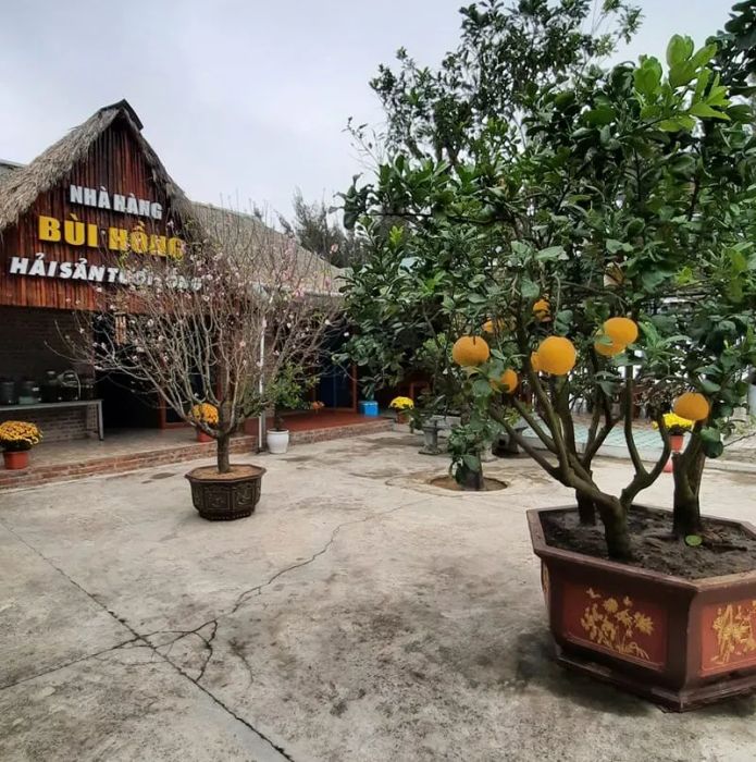 Không gian ẩm thực sang trọng tại Nhà Hàng Hồng Bùi