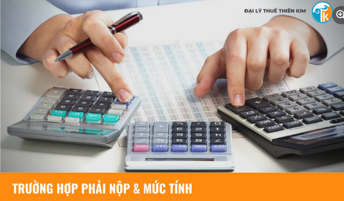 Hình ảnh không gian làm việc chuyên nghiệp tại Đại lý Thuế Thiên Kim