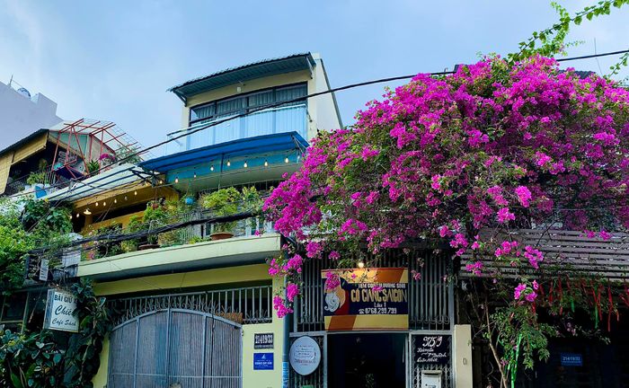 Không gian xanh mát đậm chất thiên nhiên tại Cô Giang Saigon