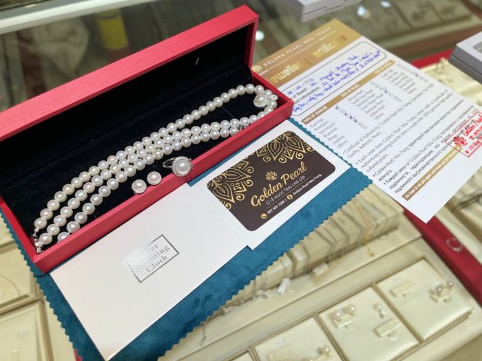 Tác phẩm nghệ thuật từ Golden Pearl - Ảnh 1