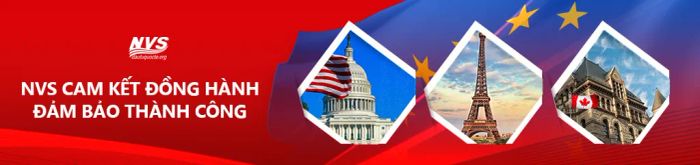 Hình ảnh văn phòng NVS tại Hà Nội