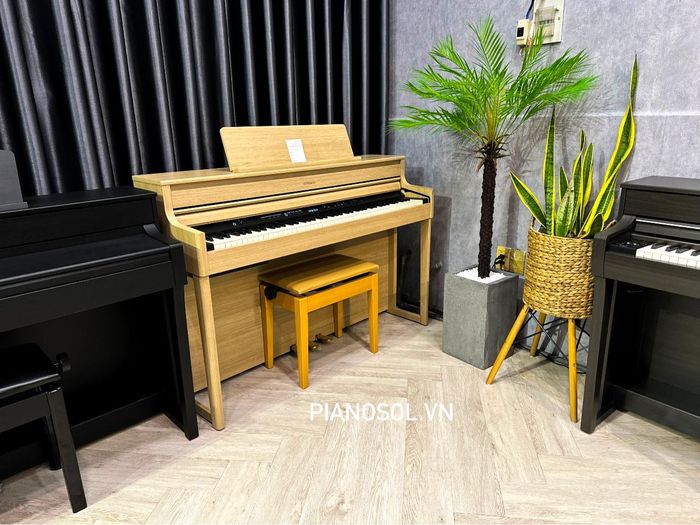 Không gian trải nghiệm nhạc cụ tại Piano Sol