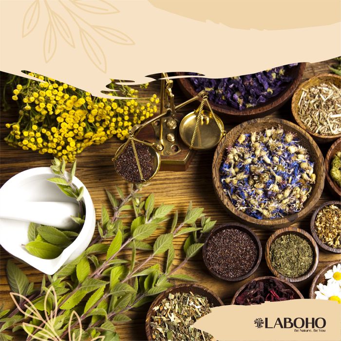 Không gian thư giãn đậm chất nghệ thuật tại Laboho Spa