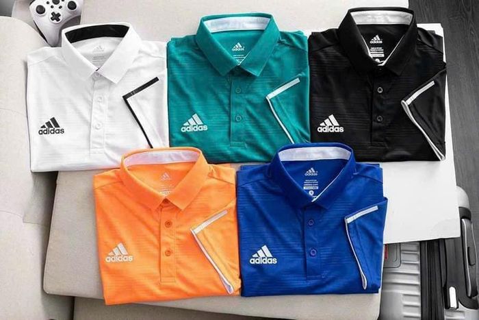Bằng Sport hình ảnh 1