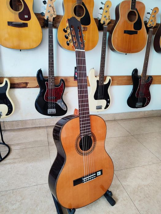 Bộ sưu tập guitar đa dạng tại Nhạc cụ Vũ Uyên