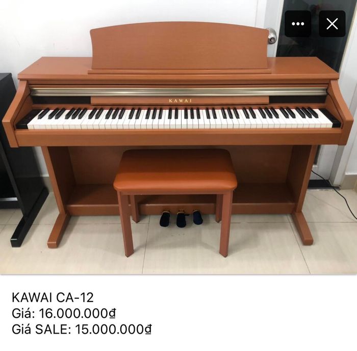 Bộ sưu tập piano đa dạng tại Nhạc Cụ Thiên Phúc