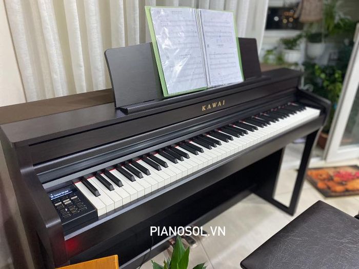 Bộ sưu tập piano đa dạng tại Piano Sol