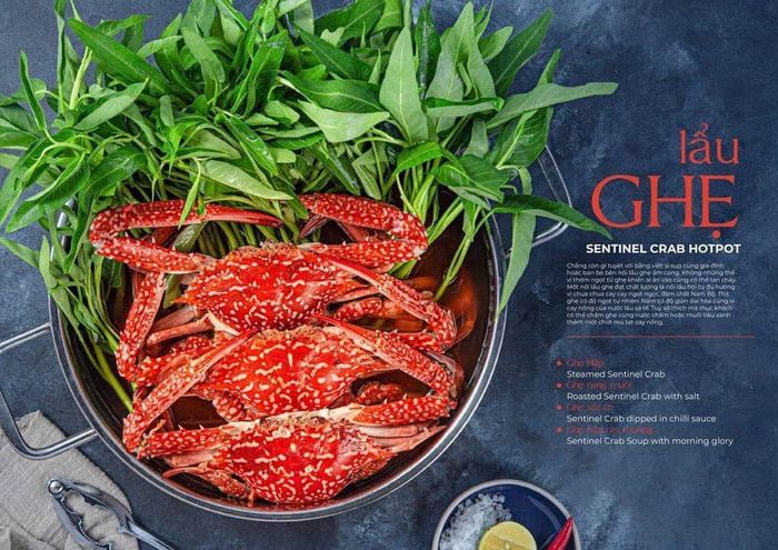 Không gian ẩm thực sang trọng tại Hải Sản Ngon Vĩnh Phúc - Ảnh 2