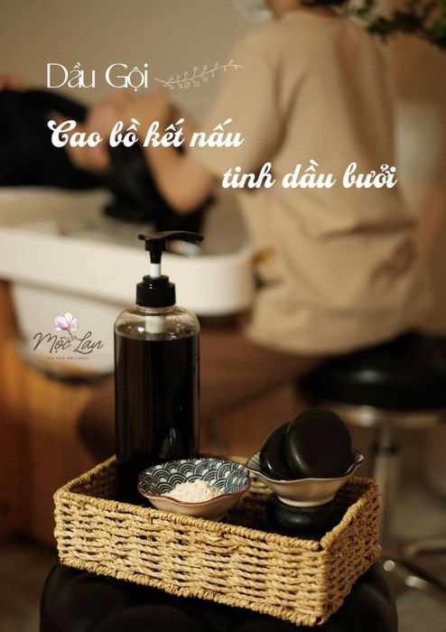 Kỹ thuật massage trị liệu chuyên sâu tại Mộc Lan Spa Wellness