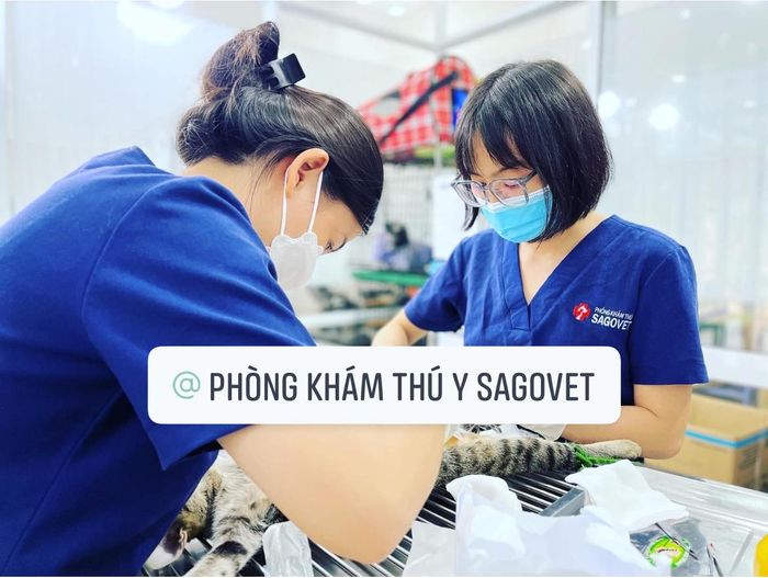 Phòng khám Thú Y Sagovet - Hình ảnh 2