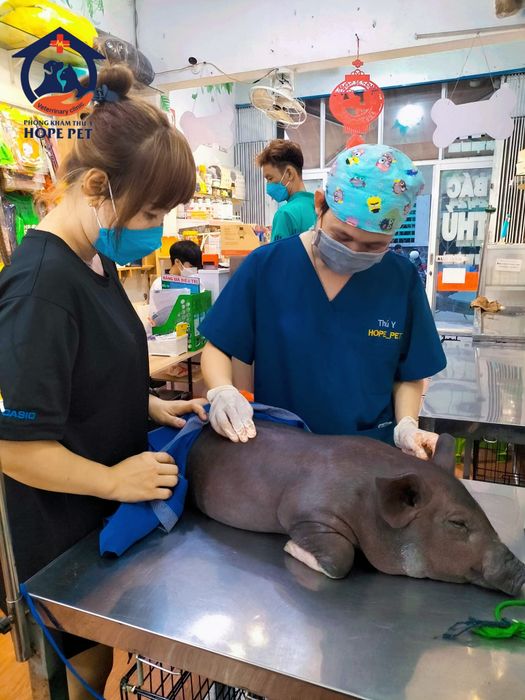 Phòng khám Thú-Y HOPE PET - Hình ảnh 3