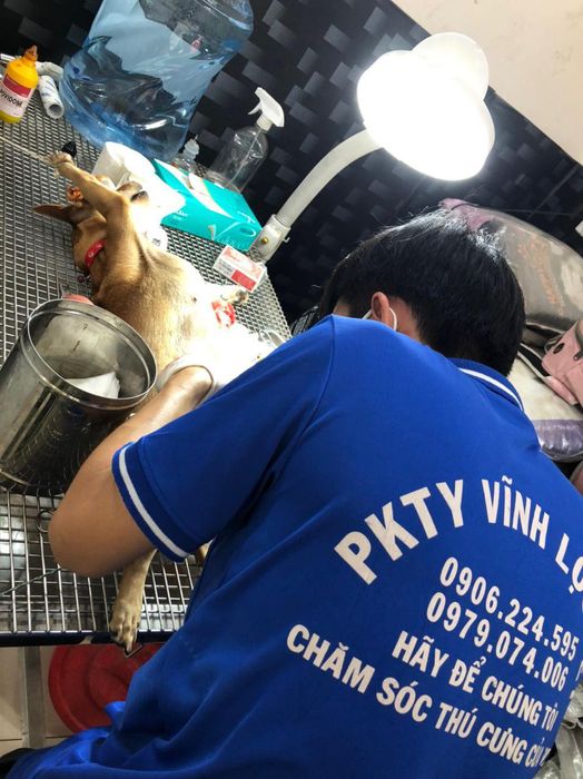 Phòng Khám Thú Y Vĩnh Lộc Vet - Hình ảnh 2