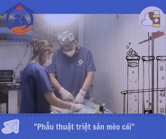 Phòng khám Thú-Y HOPE PET - Hình ảnh 2