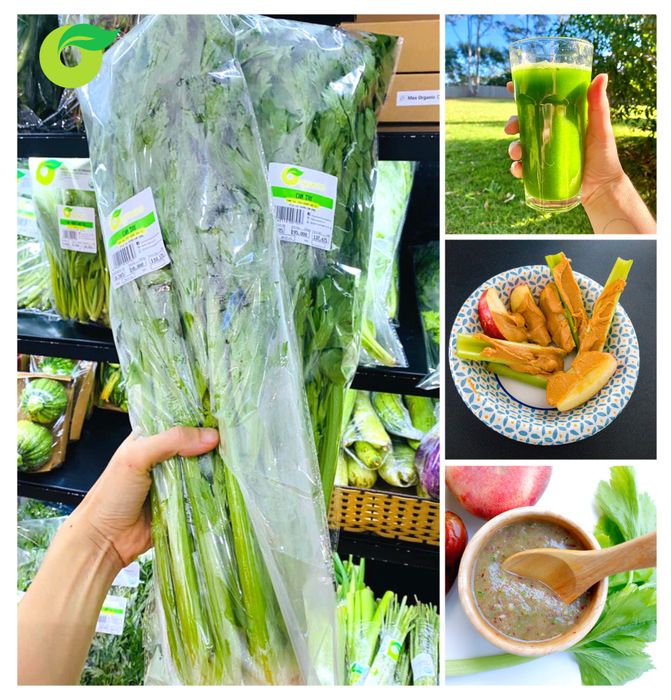 Organica - Xây Dựng Lối Sống Hữu Cơ ảnh 1