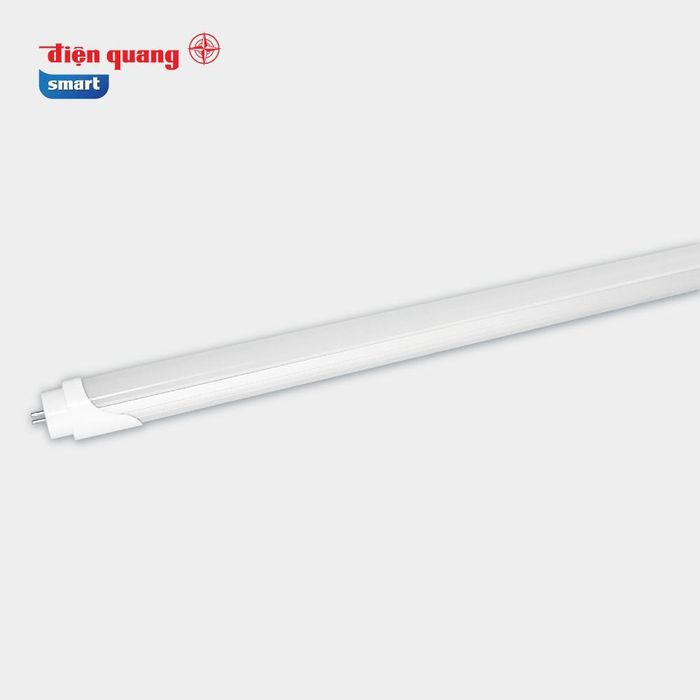 Bộ sưu tập đèn tuýp LED Điện Quang đa dạng mẫu mã