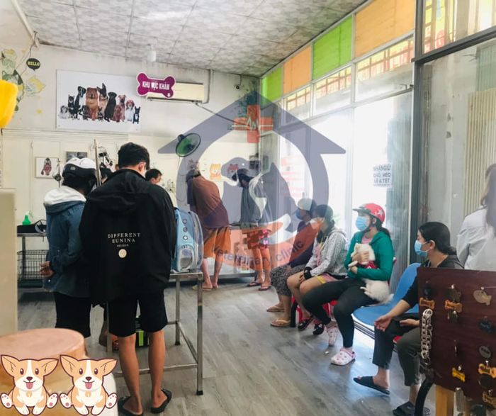 Phòng khám Thú-Y HOPE PET - Hình ảnh 1