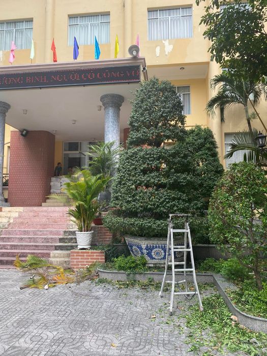 Công ty TNHH Cảnh quan Thành phố Xanh ảnh 1