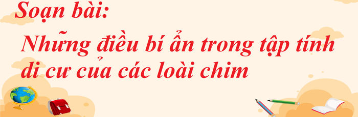Hình ảnh minh họa sinh động về loài chim di cư (Nguồn: internet)