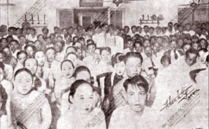 Bức ảnh thứ hai của Manh Manh - khoảnh khắc chân thực và sống động