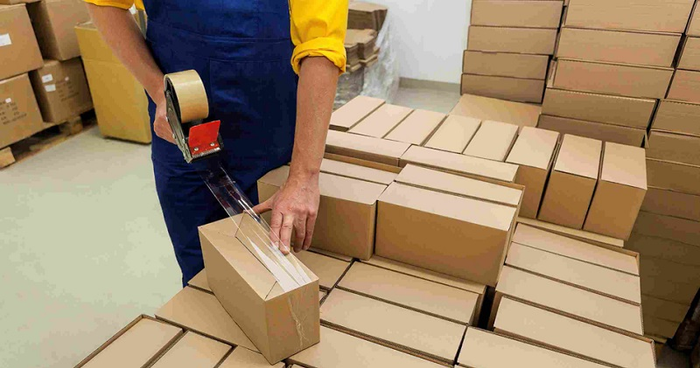 Công ty Kiến Vàng 247 ảnh 2