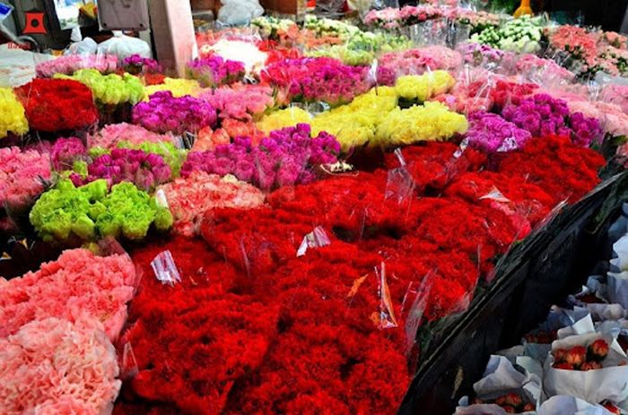 Ảnh chụp chợ hoa Quảng Bá - biển hoa đêm rực rỡ sắc màu