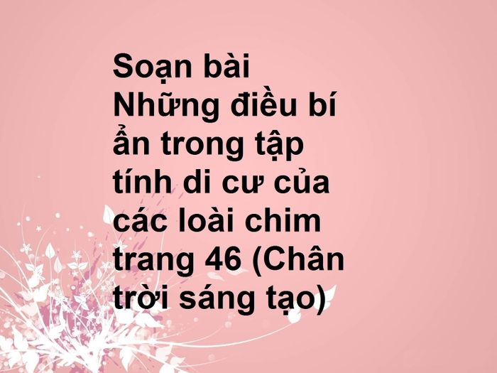 Hình ảnh minh họa sinh động về loài chim di cư (Nguồn: internet)