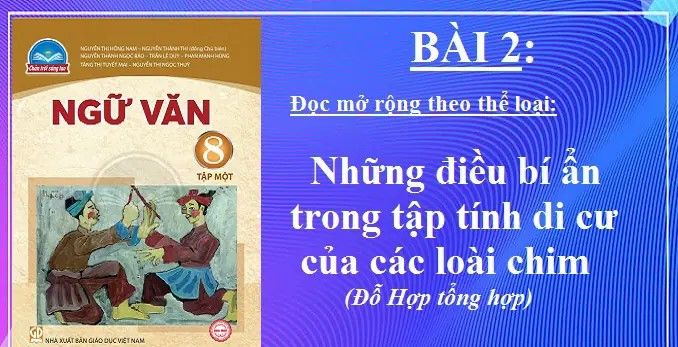 Hình ảnh minh họa sống động về loài chim di cư (Nguồn: internet)