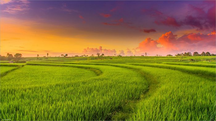 Hình ảnh minh họa (Nguồn: internet)