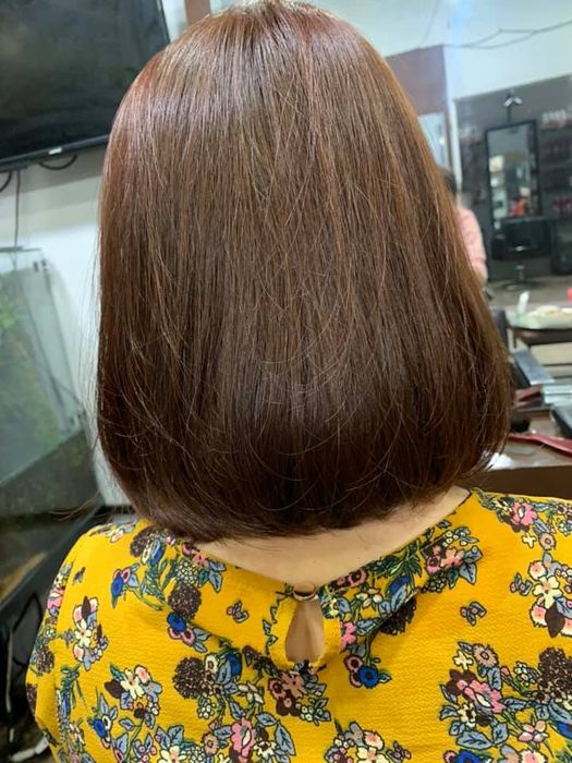 Tác phẩm nghệ thuật tóc tại Salon Đức